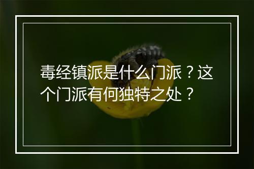 毒经镇派是什么门派？这个门派有何独特之处？
