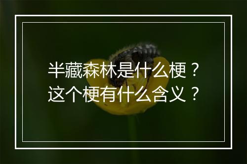 半藏森林是什么梗？这个梗有什么含义？