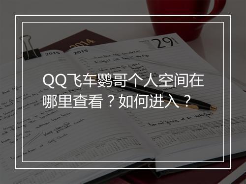QQ飞车鹦哥个人空间在哪里查看？如何进入？