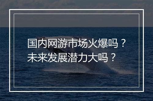 国内网游市场火爆吗？未来发展潜力大吗？