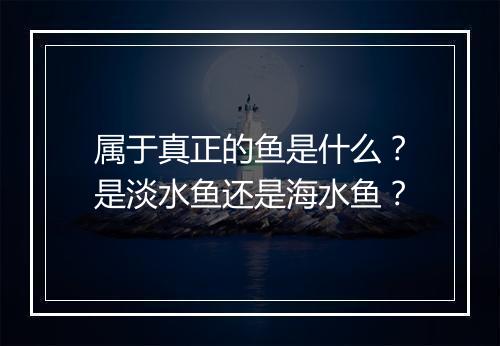 属于真正的鱼是什么？是淡水鱼还是海水鱼？
