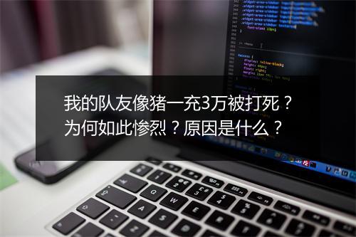 我的队友像猪一充3万被打死？为何如此惨烈？原因是什么？