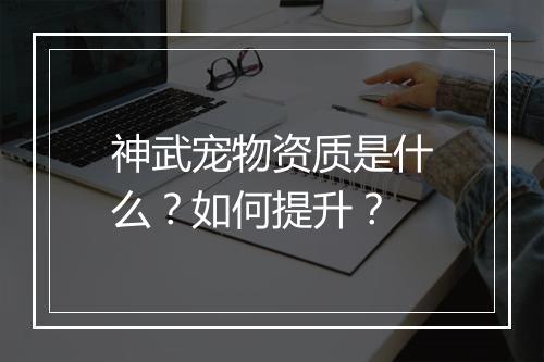 神武宠物资质是什么？如何提升？