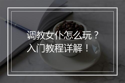 调教女仆怎么玩？入门教程详解！