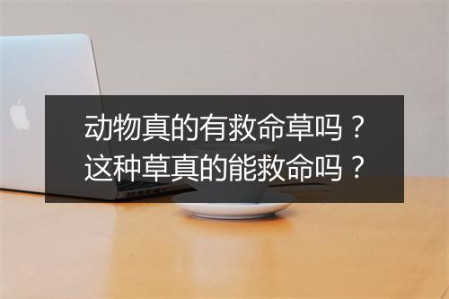 动物真的有救命草吗？这种草真的能救命吗？