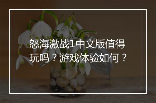 怒海激战1中文版值得玩吗？游戏体验如何？