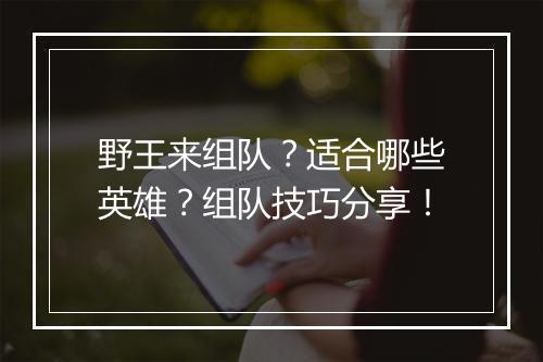 野王来组队？适合哪些英雄？组队技巧分享！