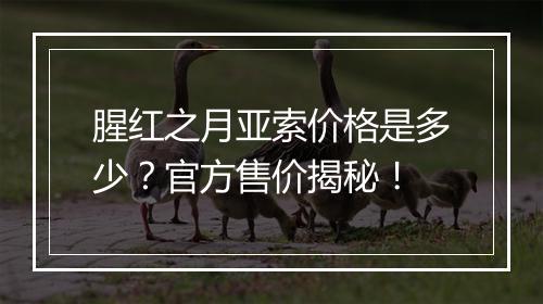 腥红之月亚索价格是多少？官方售价揭秘！