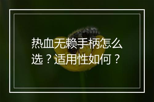 热血无赖手柄怎么选？适用性如何？