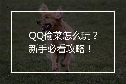 QQ偷菜怎么玩？新手必看攻略！