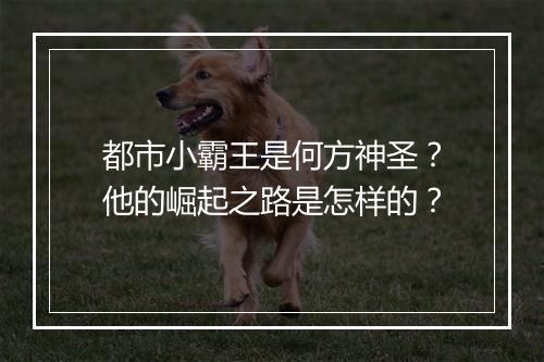 都市小霸王是何方神圣？他的崛起之路是怎样的？