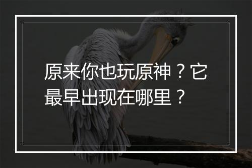 原来你也玩原神？它最早出现在哪里？