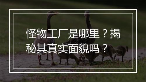 怪物工厂是哪里？揭秘其真实面貌吗？