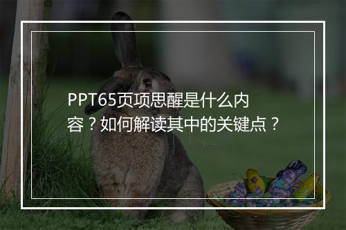 PPT65页项思醒是什么内容？如何解读其中的关键点？