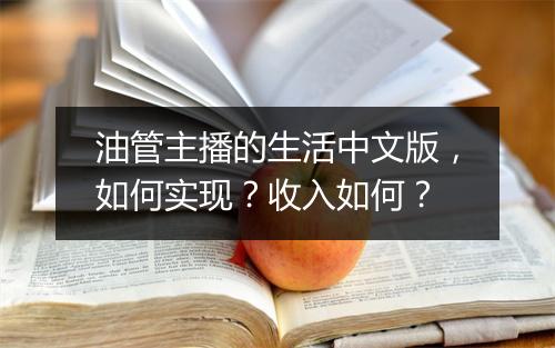 油管主播的生活中文版，如何实现？收入如何？