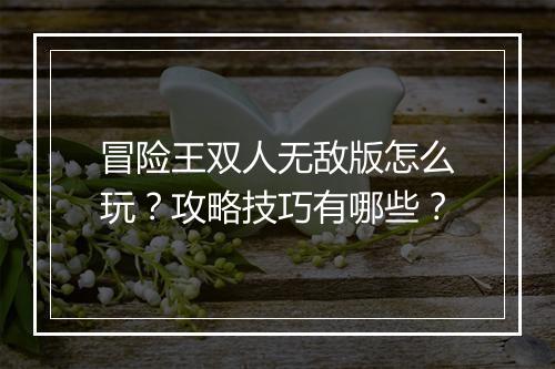 冒险王双人无敌版怎么玩？攻略技巧有哪些？