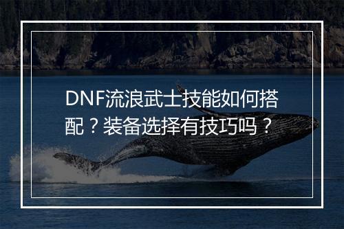 DNF流浪武士技能如何搭配？装备选择有技巧吗？