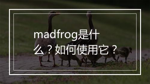 madfrog是什么？如何使用它？