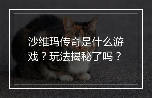 沙维玛传奇是什么游戏？玩法揭秘了吗？