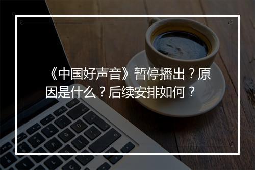《中国好声音》暂停播出？原因是什么？后续安排如何？