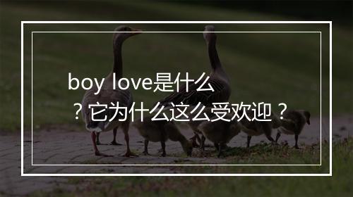 boy love是什么？它为什么这么受欢迎？