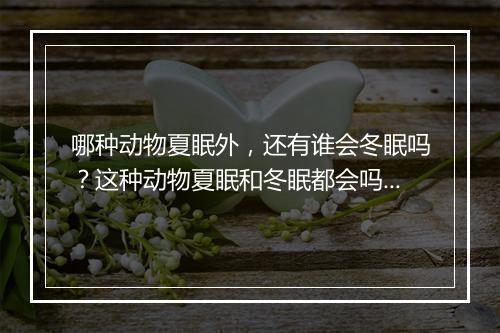 哪种动物夏眠外，还有谁会冬眠吗？这种动物夏眠和冬眠都会吗？