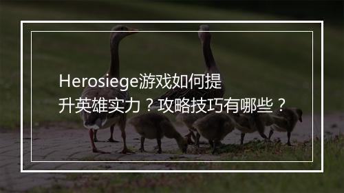 Herosiege游戏如何提升英雄实力？攻略技巧有哪些？