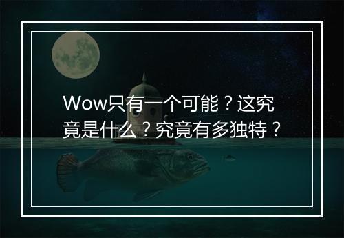 Wow只有一个可能？这究竟是什么？究竟有多独特？