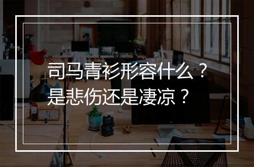 司马青衫形容什么？是悲伤还是凄凉？