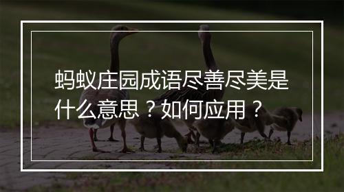 蚂蚁庄园成语尽善尽美是什么意思？如何应用？
