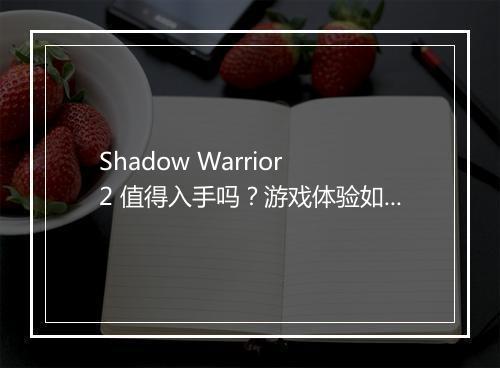Shadow Warrior 2 值得入手吗？游戏体验如何？
