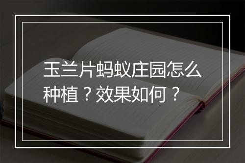 玉兰片蚂蚁庄园怎么种植？效果如何？