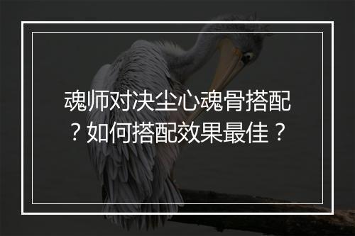 魂师对决尘心魂骨搭配？如何搭配效果最佳？