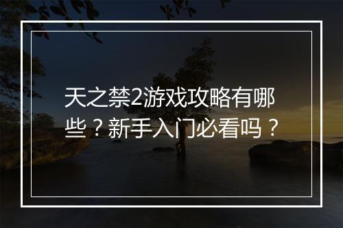 天之禁2游戏攻略有哪些？新手入门必看吗？