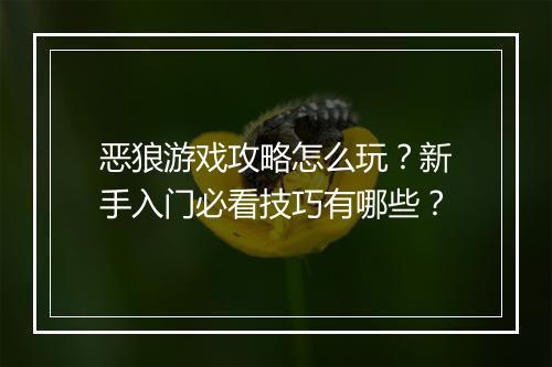 恶狼游戏攻略怎么玩？新手入门必看技巧有哪些？