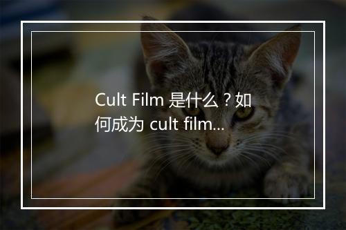 Cult Film 是什么？如何成为 cult film？