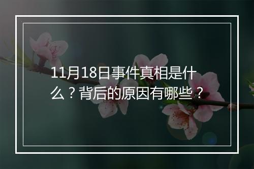 11月18日事件真相是什么？背后的原因有哪些？