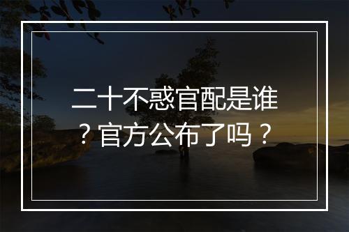 二十不惑官配是谁？官方公布了吗？