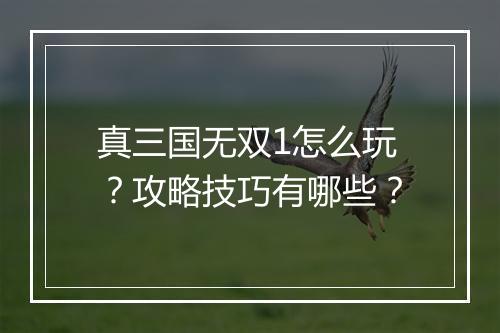 真三国无双1怎么玩？攻略技巧有哪些？