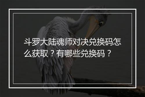 斗罗大陆魂师对决兑换码怎么获取？有哪些兑换码？