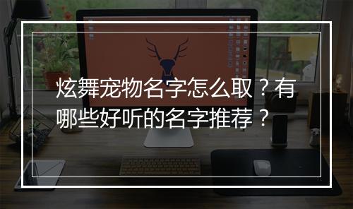 炫舞宠物名字怎么取？有哪些好听的名字推荐？
