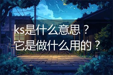 ks是什么意思？它是做什么用的？