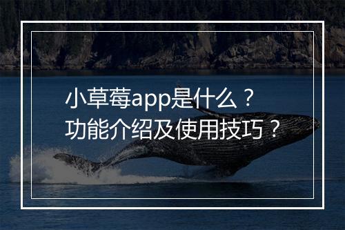 小草莓app是什么？功能介绍及使用技巧？