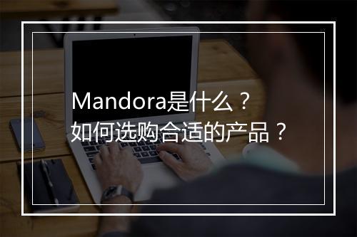 Mandora是什么？如何选购合适的产品？