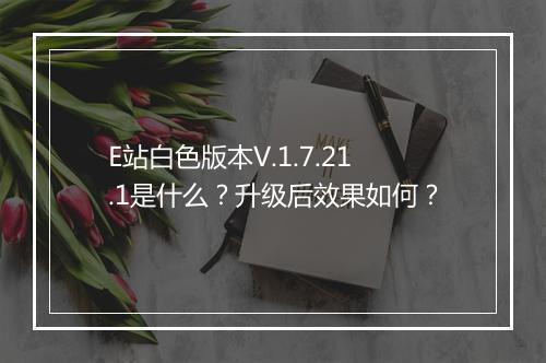 E站白色版本V.1.7.21.1是什么？升级后效果如何？