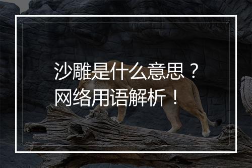 沙雕是什么意思？网络用语解析！