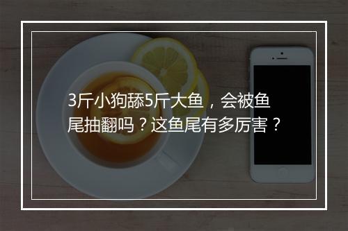 3斤小狗舔5斤大鱼，会被鱼尾抽翻吗？这鱼尾有多厉害？