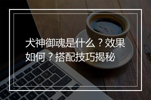 犬神御魂是什么？效果如何？搭配技巧揭秘