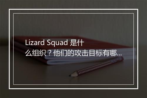 Lizard Squad 是什么组织？他们的攻击目标有哪些？