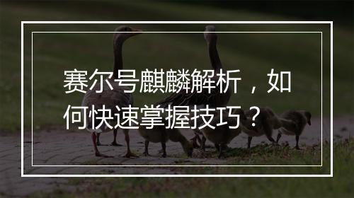 赛尔号麒麟解析，如何快速掌握技巧？